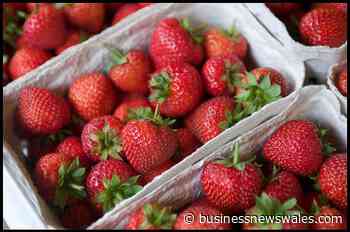 Project Launched to Tackle Greenwashing in Food and Drink Sectors - Business News Wales