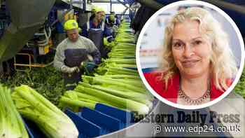 Jobs crisis risks 'irreversible' changes to agri-food sector | Eastern Daily Press - Eastern Daily Press