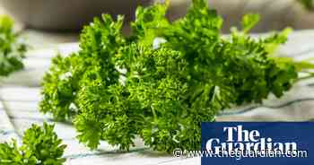 What’s the point of curly parsley? - The Guardian