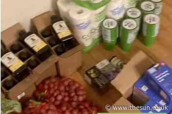 I rummaged through bins & nabbed £725 worth of fancy food – I got nearly 100 loaves of bread & nothing was... - The Sun