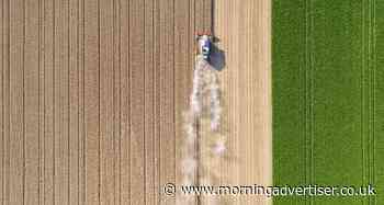 Why are food prices so high? - MorningAdvertiser.co.uk
