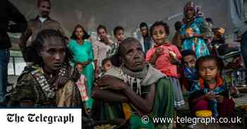 Ethiopian PM threatens to stop food aid entering the country - Telegraph.co.uk
