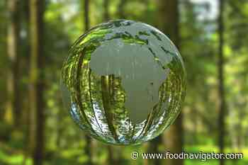World Food Day: 'New momentum' for food system fix but words need to be put into action - FoodNavigator.com