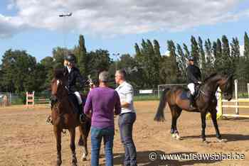 Molse Ruitersclub kan rekenen op structurele steun