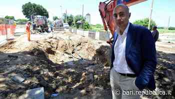 Bari-Foggia, l'assessore Galasso: "Da pendolare tra le due città tifo con il cuore diviso" - La Repubblica