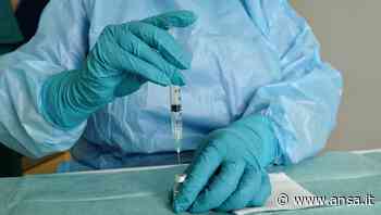 Vaccini: inchiesta 'furbetti', pm Bari chiede archiviazione - Agenzia ANSA