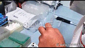 Vaccinazioni anticovid: Bari e provincia quasi il 90% con le prime dosi - Canale7