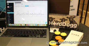 Smart tags capture cattle data at a distance