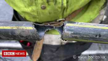 Rats take down Devon broadband