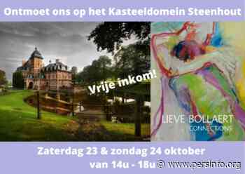 Kunst op Kasteeldomein voor buurtcafé in station Herne - Persinfo.org