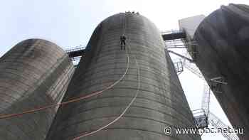 Grains set for more bumper crops, prices to remain strong amid global shortages