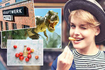 Dresden: Sieben herbstliche Sonntagstipps zum Entspannen und Genießen - TAG24