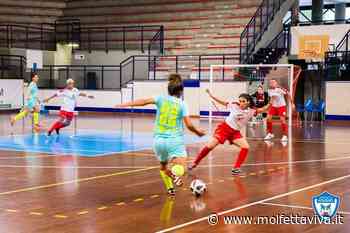 La Nox Molfetta stenta e non brilla. Seconda sconfitta a Foligno - MolfettaViva