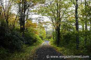 New program to open up carbon market to small forest owners in WV - Charleston Gazette-Mail