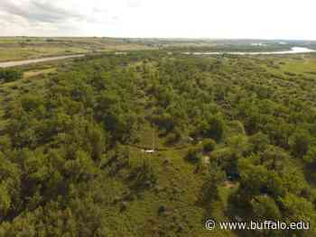 What's missing from forest mortality projections? A look underground - UB News Center