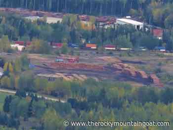 MFI Property gets new life with community forest - The Rocky Mountain Goat