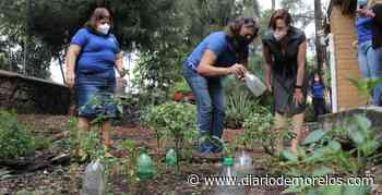 Esto se hizo en Cuernavaca en 2021 para proteger a la naturaleza - Diario de Morelos