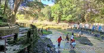 Limpia Parque Barranca de Chapultepec, en Cuernavaca - Diario de Morelos