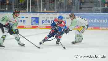 Eisbären in Torlaune - Dawes hält Mannheim an der Spitze - kicker