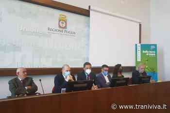 Gal Ponte Lama, piano d'azione per il miglioramento della pesca del gambero rosso nell'Adriatico meridionale - TraniViva