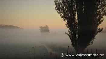 Hobbyfotografen aus Schönebeck senden Herbstfotos aus dem Kurpark, von der Elbe, dem Bierer Berg und anderen Orten - Volksstimme