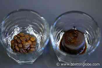 In Gloucester, a tech startup plots the future of coffee - BetaBoston