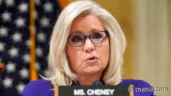 Liz Cheney calls out Republican colleagues on 'false' election claims