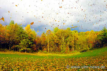 Der erste Herbststurm kommt