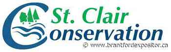 Phillips is new GM for St. Clair Region Conservation Authority - Brantford Expositor
