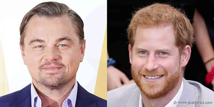 Leonardo DiCaprio Joins Prince Harry's Campaign to End Oil Drilling in Africa