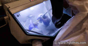 Ancient-DNA Researchers Set Ethical Guidelines for Their Work