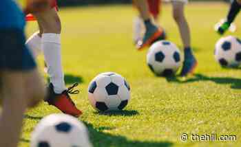 Lawmakers call for investigation into alleged harassment, abuse in women's soccer