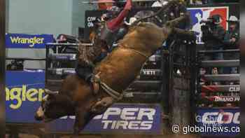 Professional bull riders from around the world compete in Calgary