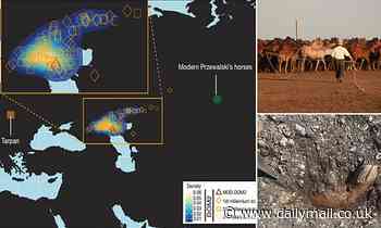 Scientists find evidence modern domestic horse originated in Western Eurasia over 4,200 years ago
