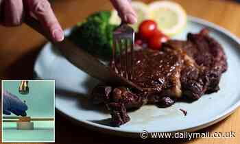 WOOD steak knife is 23 times harder and three times sharper than stainless-steel blades