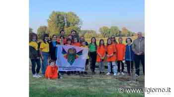 “Autogrill“ sul prato per uccellini migratori - IL GIORNO