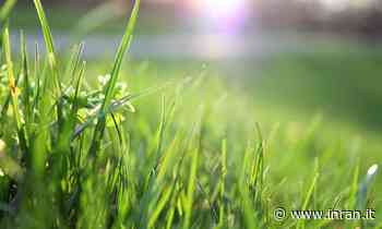 Tagliare il prato: ecco come farlo correttamente prima dell’inverno - INRAN