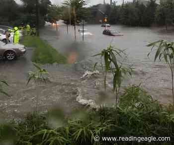 Ask the Berks County Master Gardener: How will floods affect my trees and shrubs? - Reading Eagle