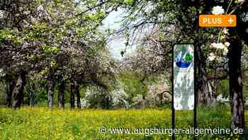 Siebenbrunner Obstbäume sind ein Gen-Reservoir für uralte Apfelsorten