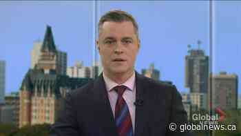 Saskatoon epidemiologist on Halloween precautions | Watch News Videos Online - Globalnews.ca