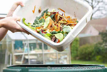 Three Comox Valley schools saving scraps for compost program – Comox Valley Record - Comox Valley Record