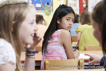Most Canadian kids experience racialized bullying at school: study – Comox Valley Record - Comox Valley Record