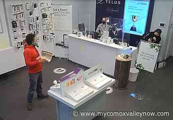 Island cellphone store gets egged by 'irate' man - My Comox Valley Now