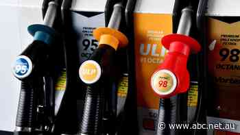 It's been a strange month for Vivian — she had to visit a petrol station.