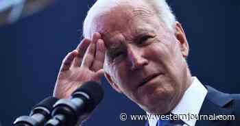 Bunker President: Biden Has Done Just 10 Interviews Since Becoming POTUS, Trump Did 57 by This Point
