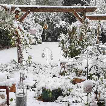 Weihnachtshof Krewelshof ab 01.11. - radioeuskirchen.de