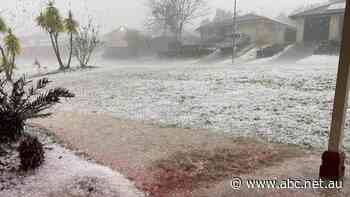 Live: NSW Now: Clean-up underway in Coffs Harbour after supercell storm causes widespread damage