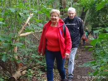 49ste Internationale wandeltocht Wandelend Paal (Beringen) - Het Belang van Limburg Mobile - Het Belang van Limburg