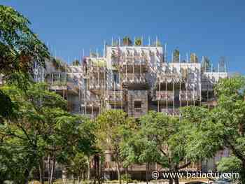 À Nice, la forêt méditerranéenne recouvre des bâtiments du quartier du Ray - Batiactu