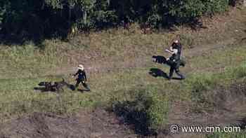 Ex-FBI agent shares why cadaver dogs were at Laundrie search